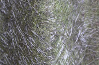 Grimshaw Green fibreglass roof work